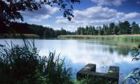 Pond "Großer Münsterteich" near Kreba (Photo: R. M. Schreyer)